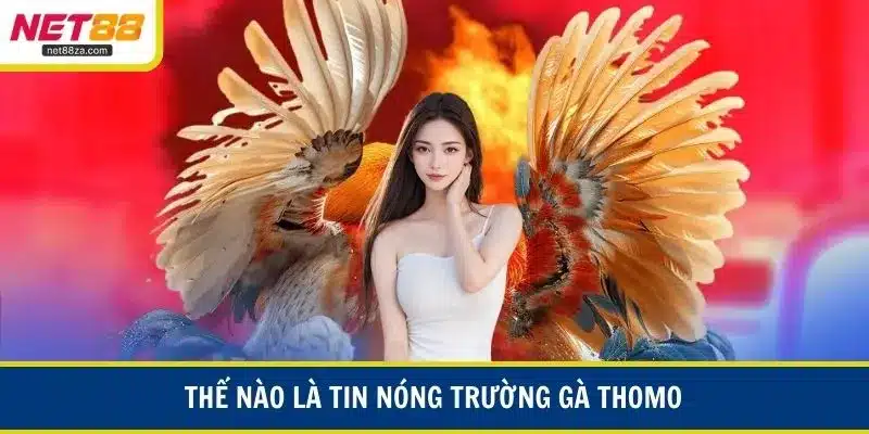 Thế nào là tin nóng trường gà Thomo