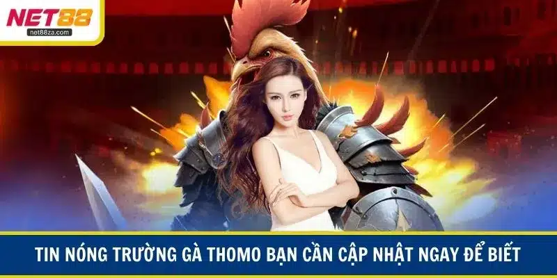 Tin nóng trường gà Thomo